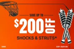 SHOCKS & STRUTS